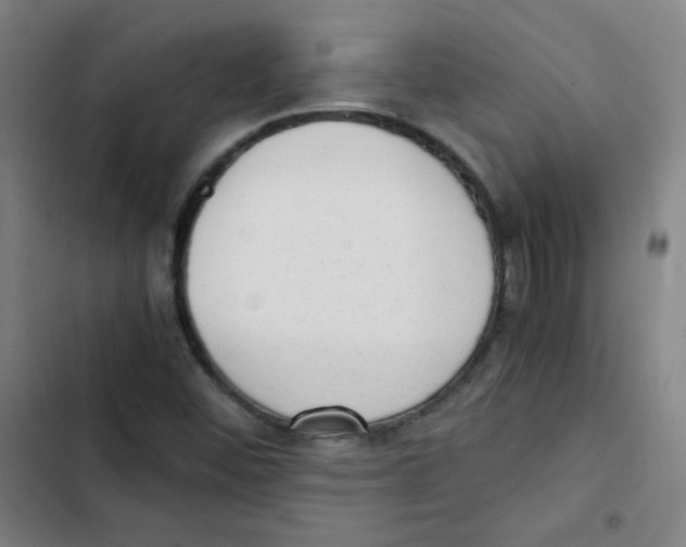 X0000102861452200809151159