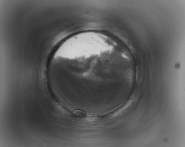 X0000102861453200809151159