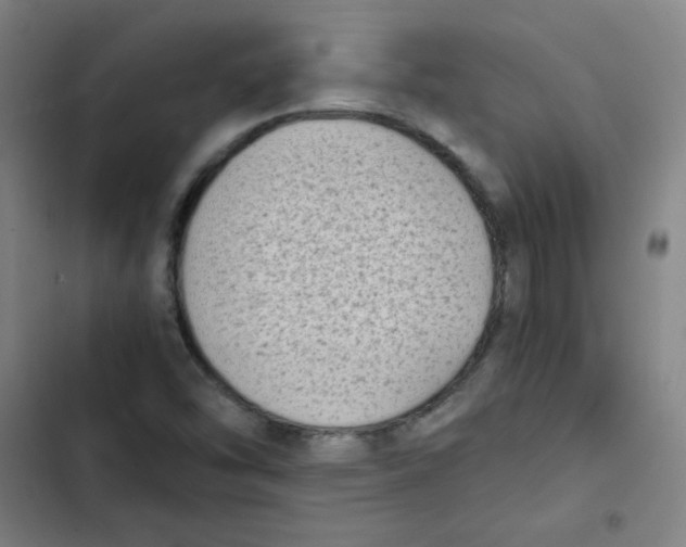 X0000102861454200809151159