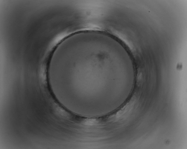 X0000102861455200809151159