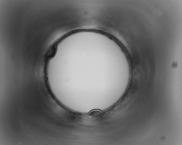 X0000102861456200809151159