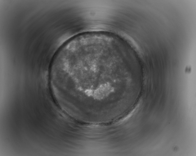 X0000102861457200809151159