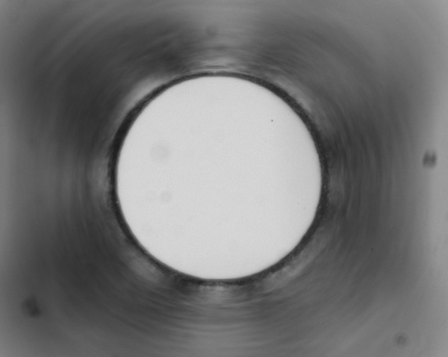 X0000102861458200809151159