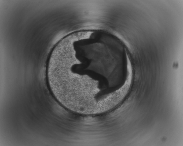 X0000102861459200809151159