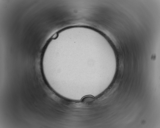 X0000102861460200809151159