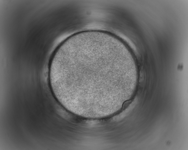 X0000102861461200809151159