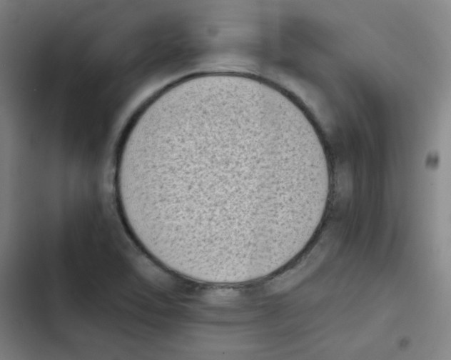 X0000102861462200809151159