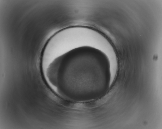 X0000102861463200809151159