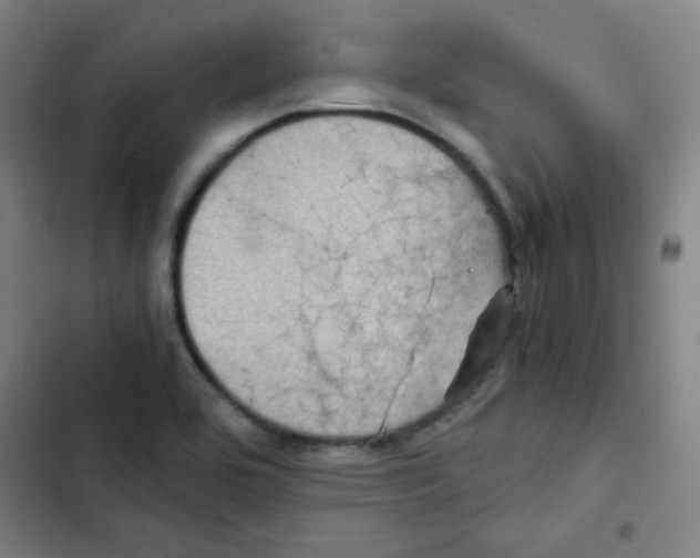 X0000102861464200809151159