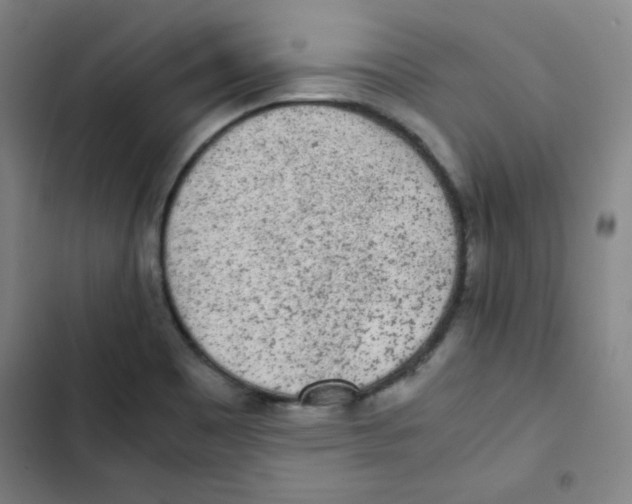 X0000102861465200809151159