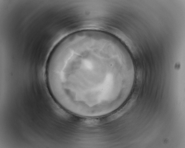 X0000102861466200809151159