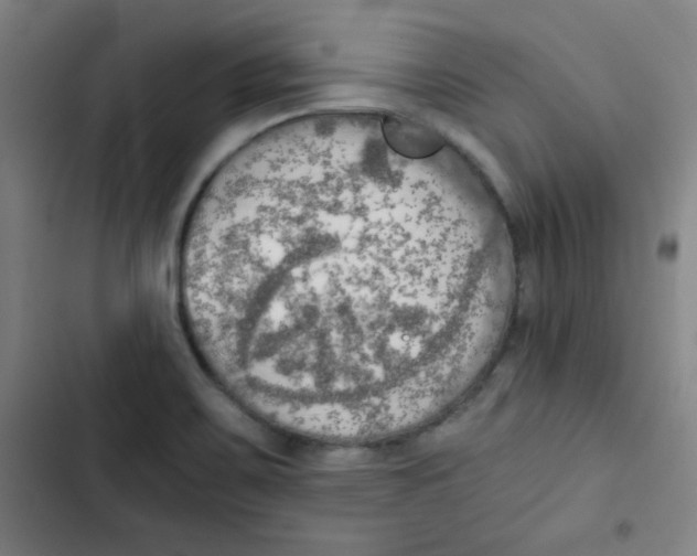 X0000102861467200809151159