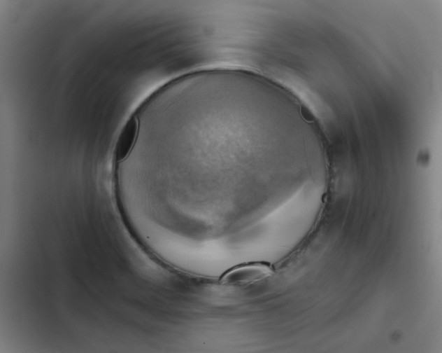 X0000102861468200809151159