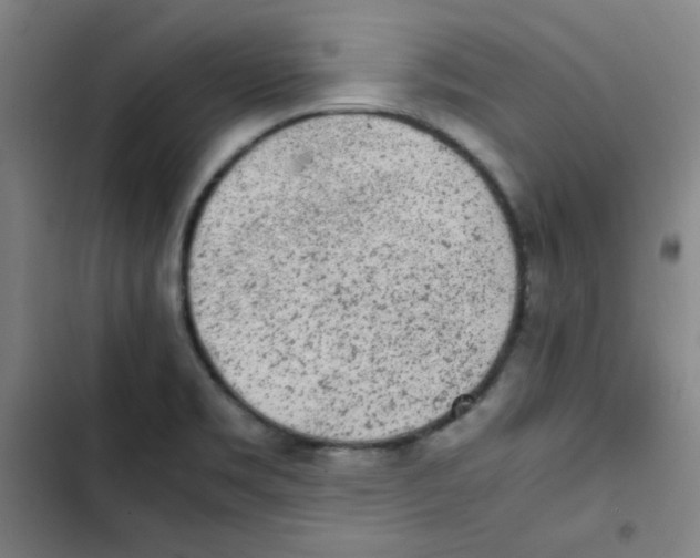 X0000102861469200809151159