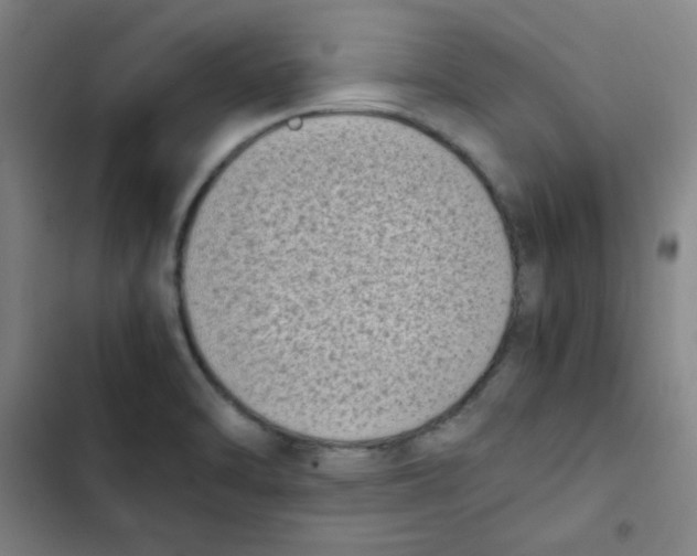 X0000102861470200809151159