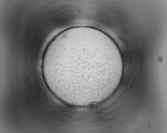 X0000102861472200809151159