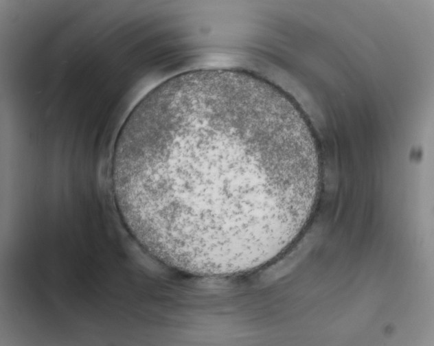 X0000102861473200809151159