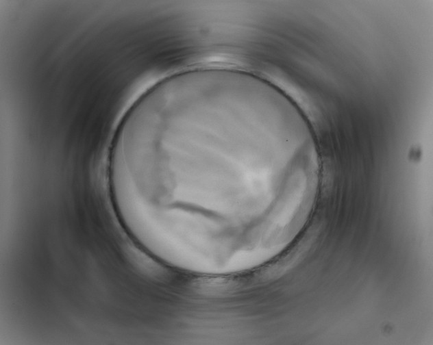 X0000102861474200809151159