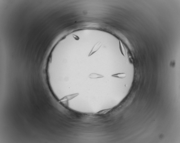 X0000102861475200809151159