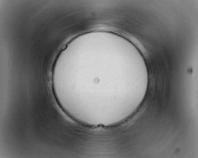 X0000102861476200809151159