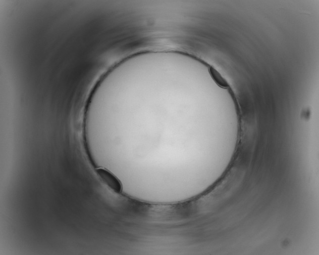 X0000102861477200809151159