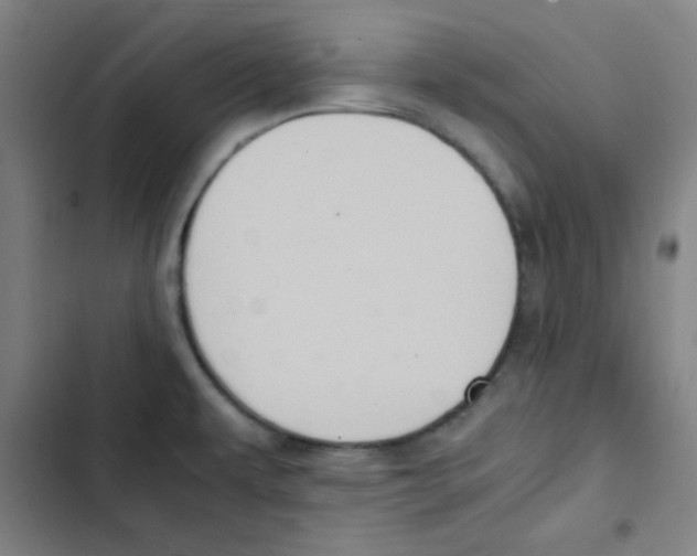 X0000102861479200809151159