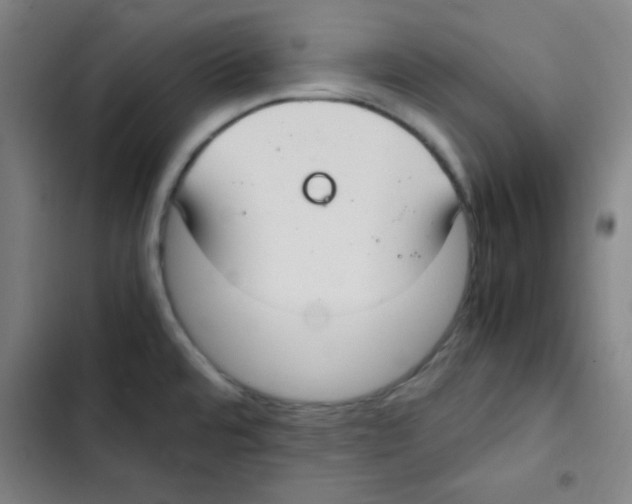 X0000102861480200809151159