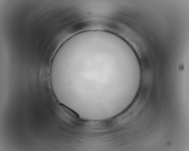 X0000102861481200809151159