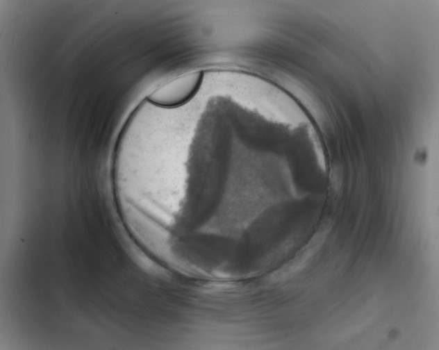 X0000102861482200809151159