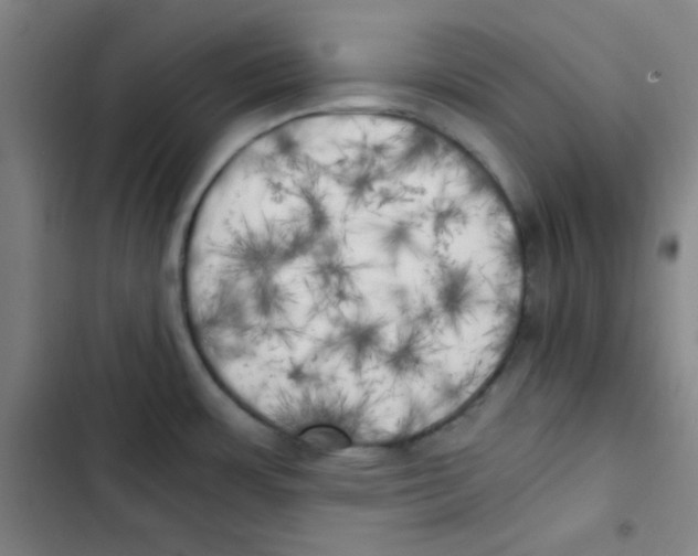 X0000102861483200809151159