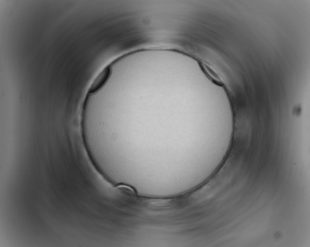 X0000102861484200809151159