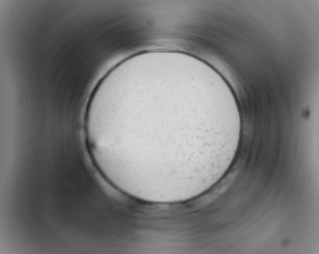 X0000102861485200809151159