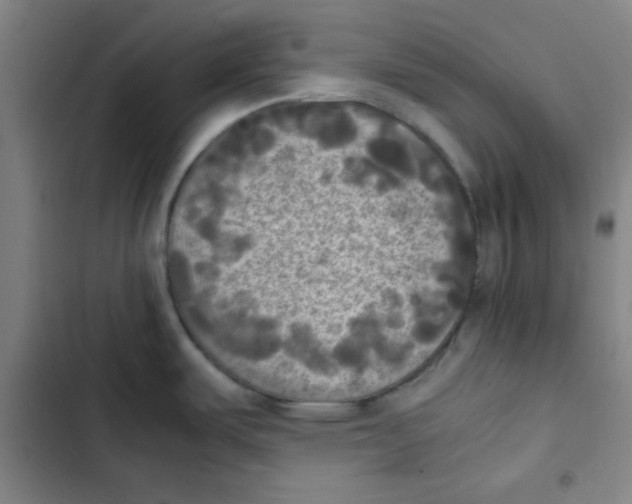 X0000102861487200809151159