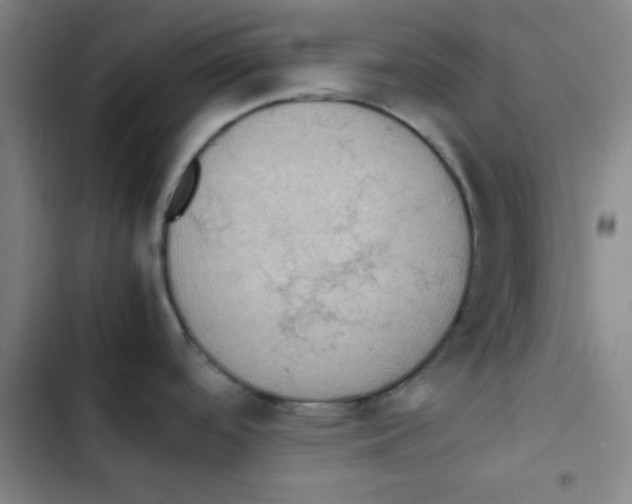 X0000102861488200809151159