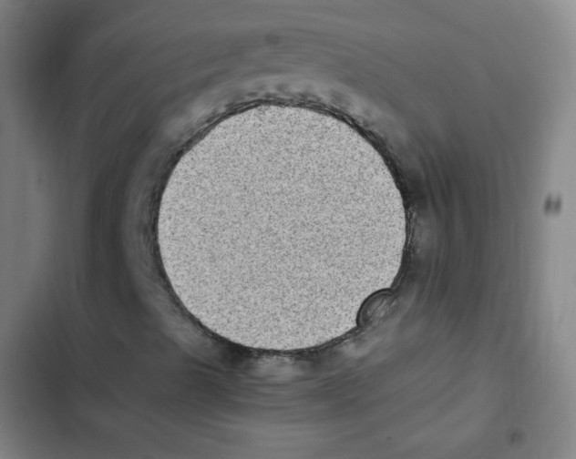 X0000102861489200809151158