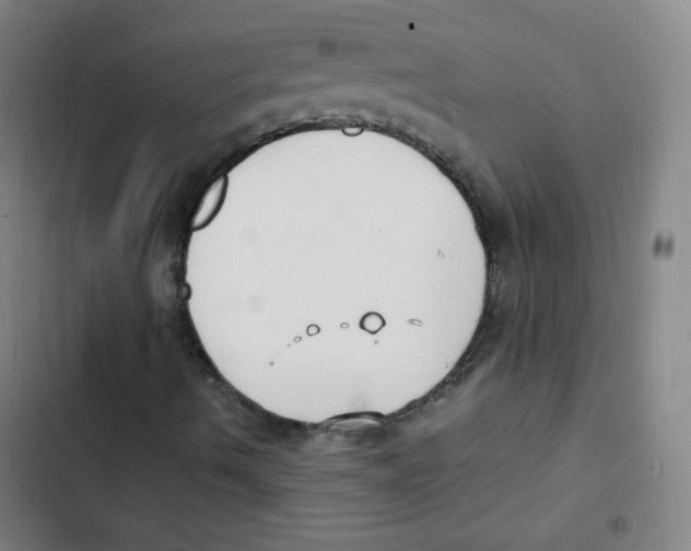 X0000102861490200809151158