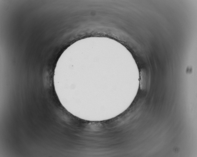 X0000102861491200809151158