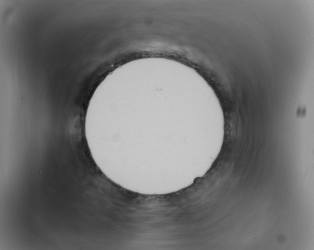 X0000102861493200809151158