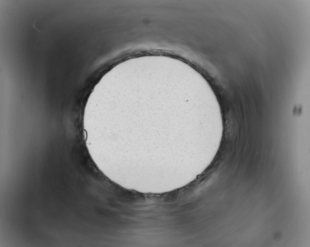 X0000102861494200809151158