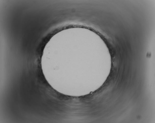 X0000102861495200809151158