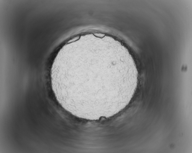 X0000102861496200809151158