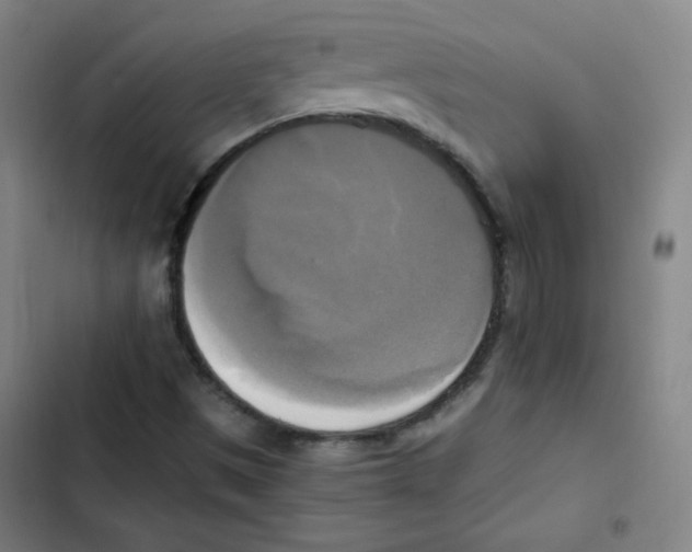 X0000102861497200809151158