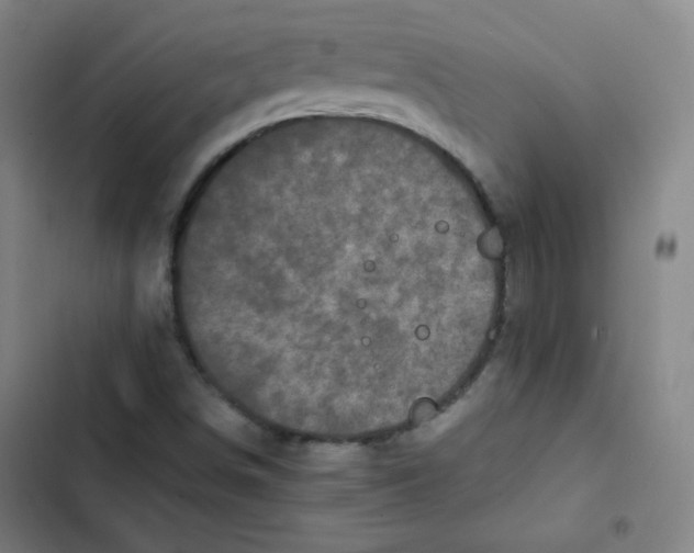 X0000102861498200809151158