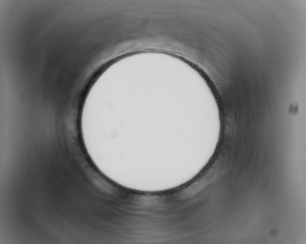 X0000102861499200809151158