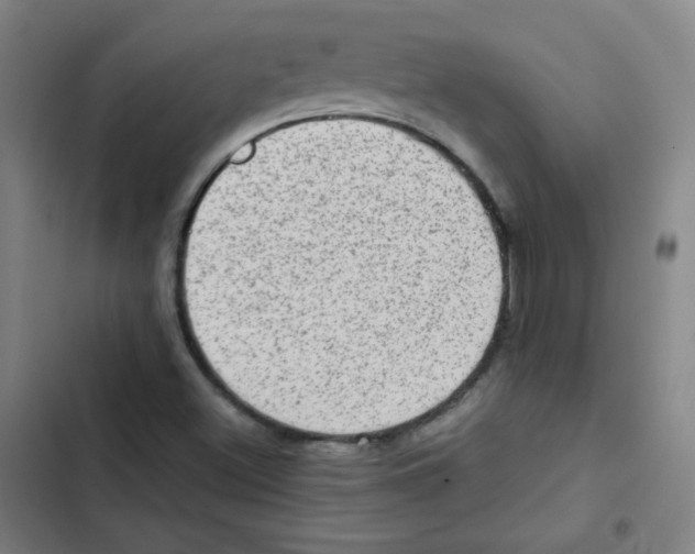 X0000102861500200809151158