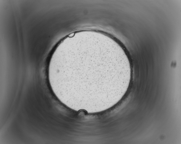 X0000102861501200809151158