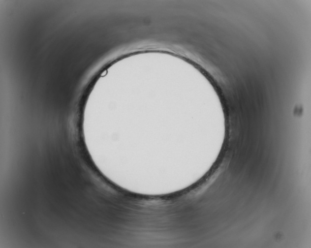 X0000102861502200809151158