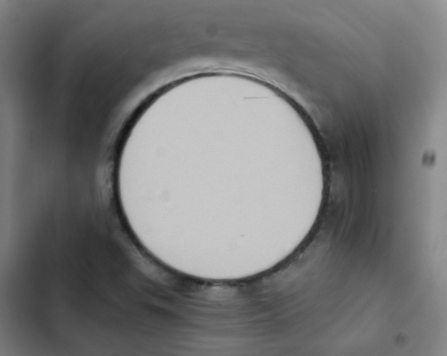 X0000102861503200809151158