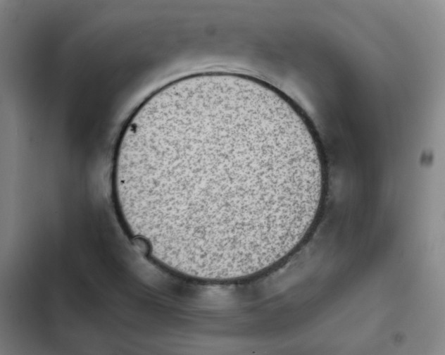 X0000102861504200809151158