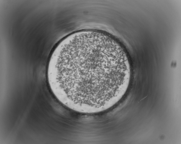 X0000102861505200809151158